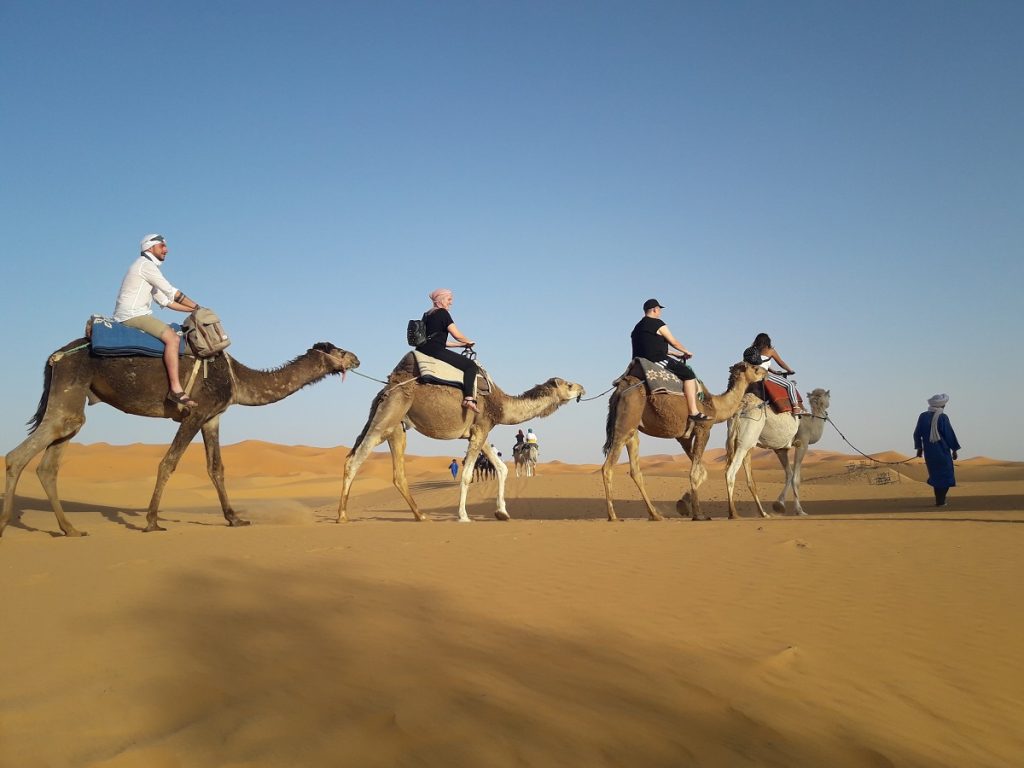 3 Days Fes To Marrakech saharadeserttrips trip tour camel ride sahara desert trips tours morocco maroc