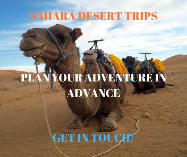 Contact Morocco Tours Sahara Desert trips