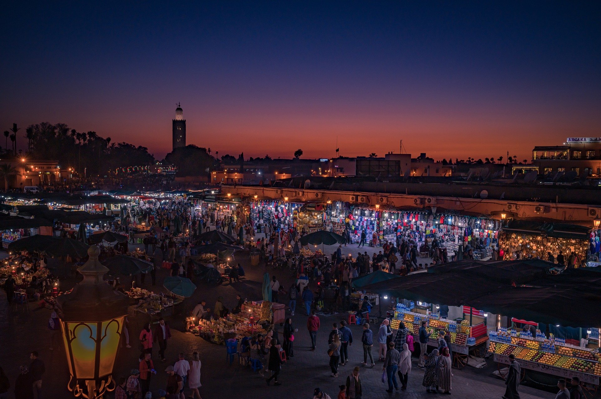 Contact Morocco Tours Sahara Desert trips