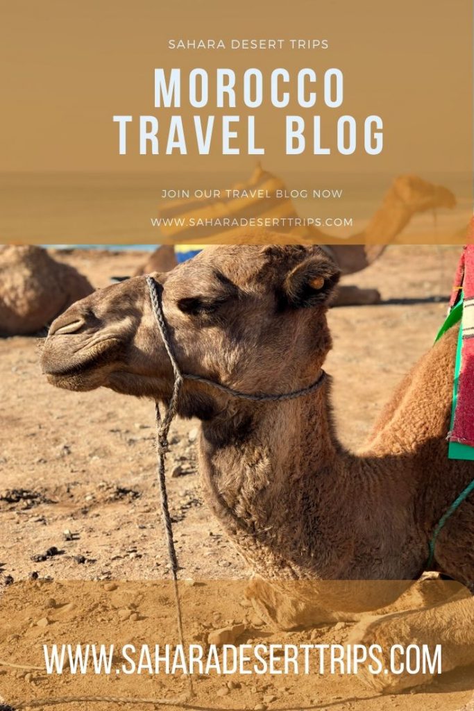 Morocco Travel Blog