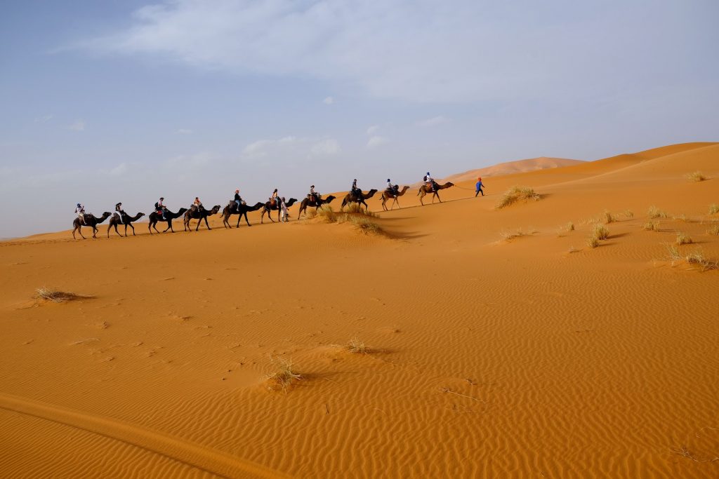 43 TOP MOROCCO DESERT TOURS 2021 Sahara desert trips
