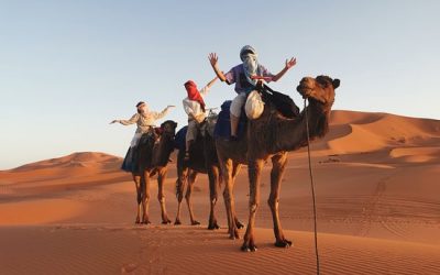 Morocco Camel Trekking